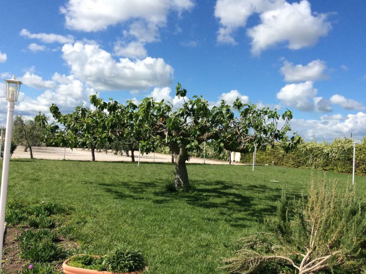 La Massaria Agriresort Orta Nova Exterior photo